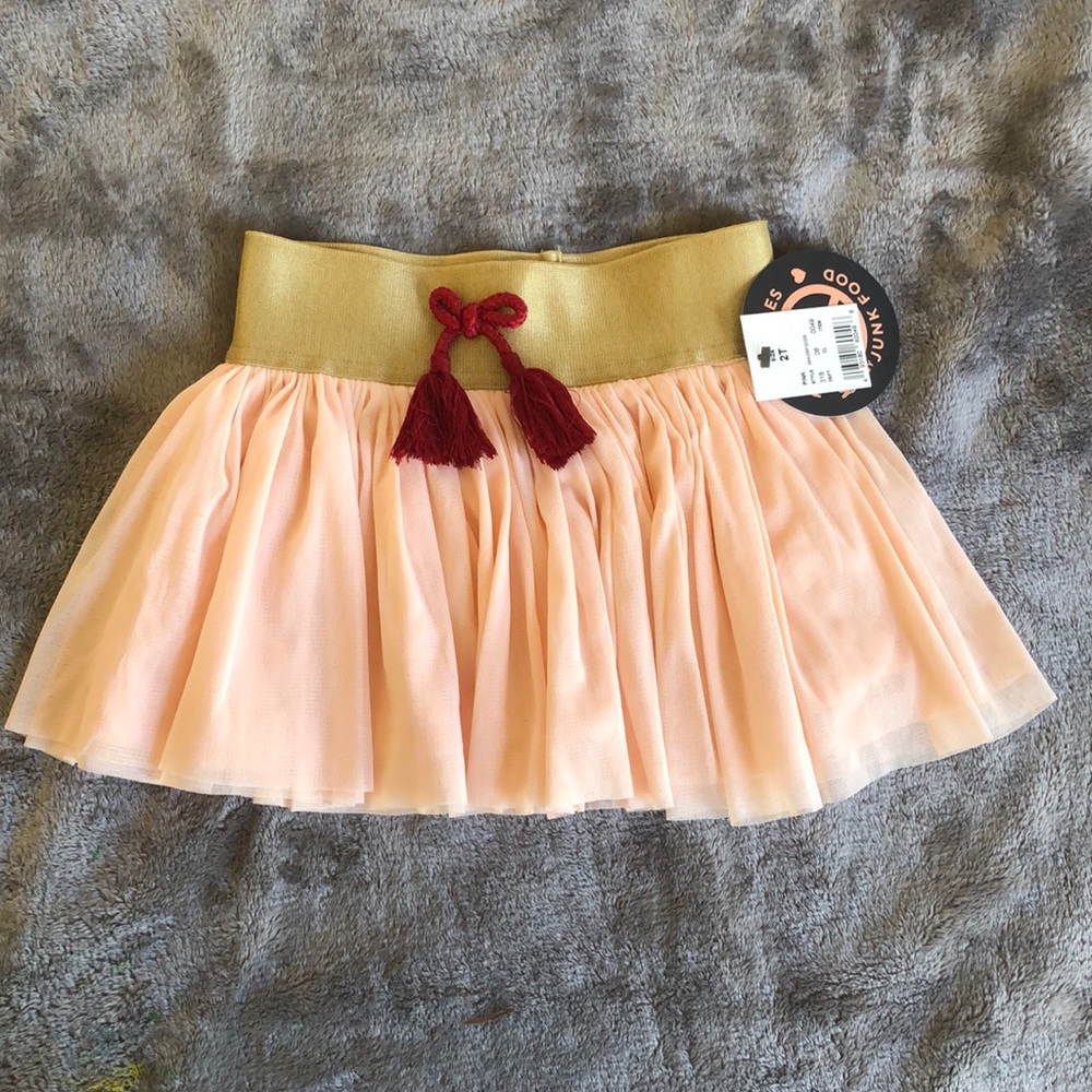 NEW! Gold Banded Pink Tulle Skirt